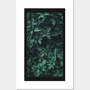 Floral prints Posters and Art